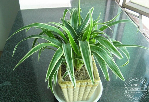 滾蛋吧 甲醛君！