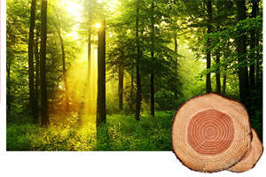  怎樣選擇合適的木門(mén)比較好的呢？