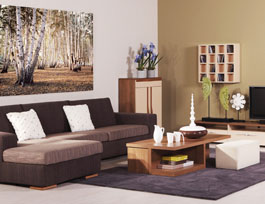 全屋定制家具專賣店為什么會(huì)被迫關(guān)店？